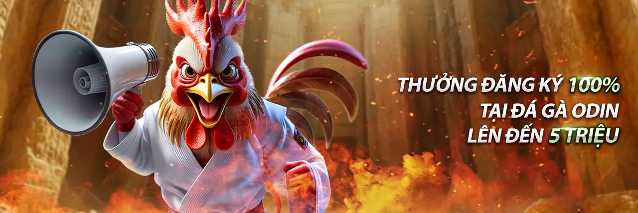 Khuyến Mãi Thể Thao 78 win